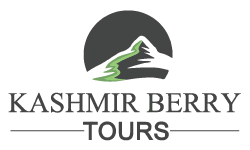 Kashmir Berry Tours